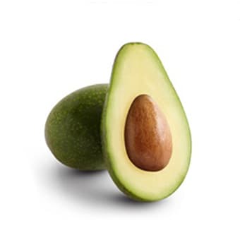 Image of Zutano Avocado